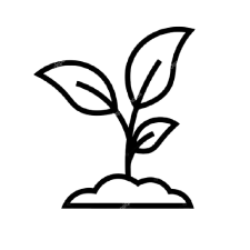 images removebg preview 1